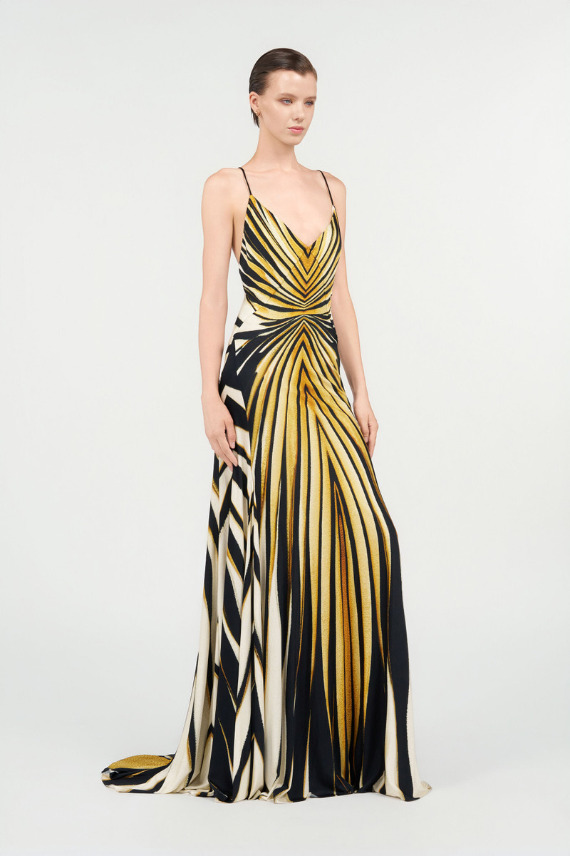 Ray Of Gold Print Dress 3