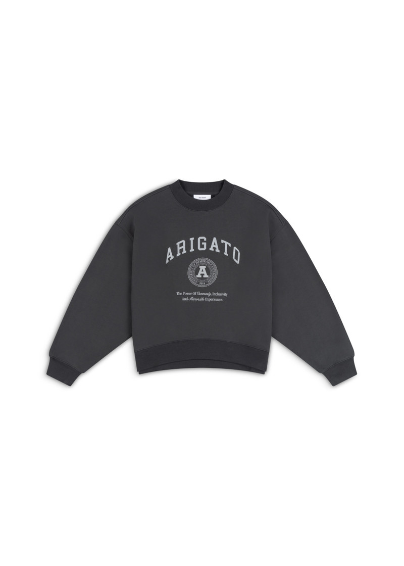 University Sweatshirt 1