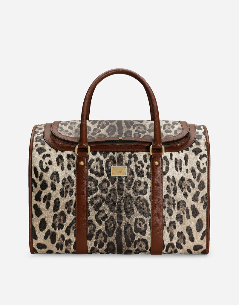 Dog carrier 1