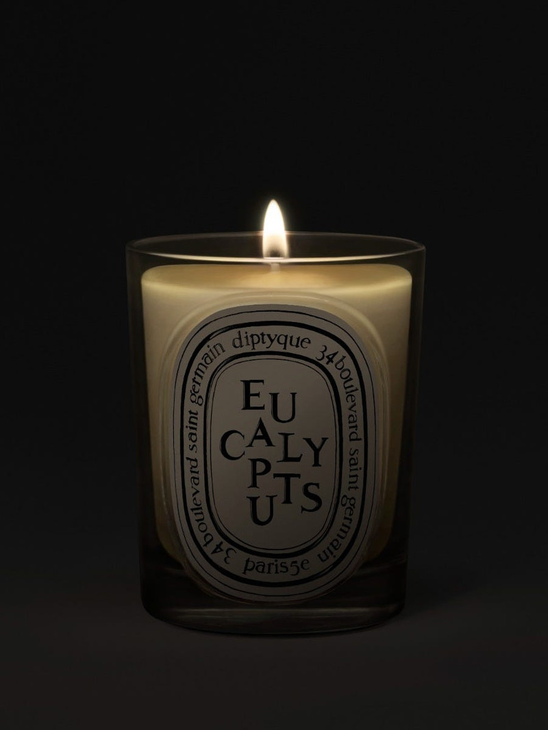 Diptyque Eucalyptus - Classic Candle outlook