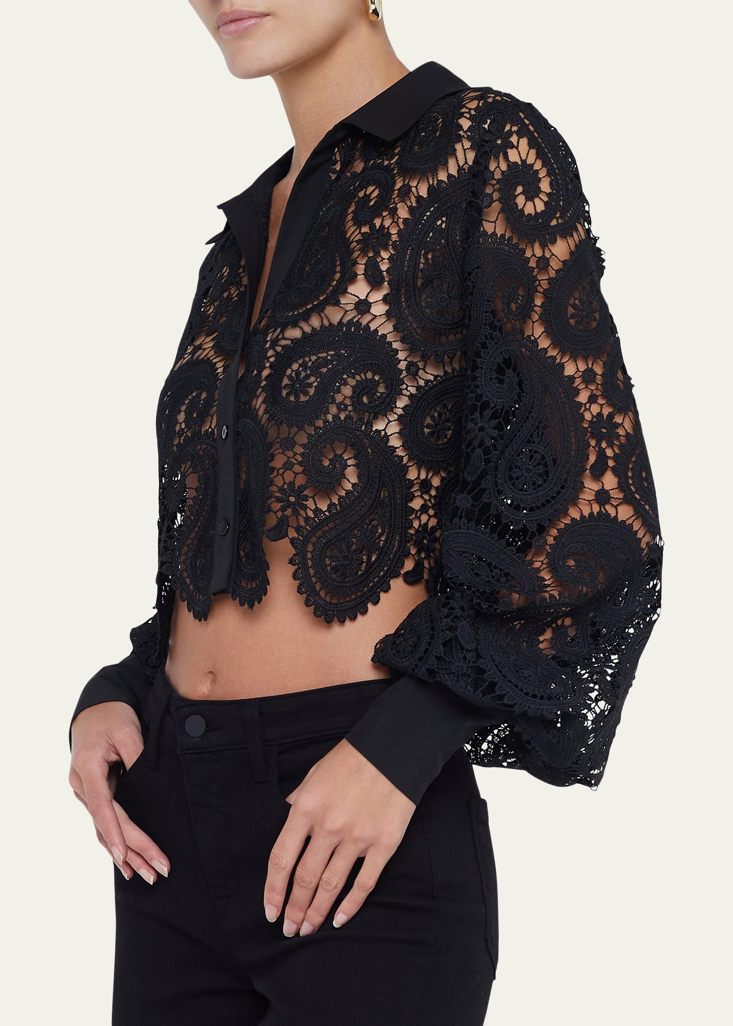 Odelia Paisley Lace Cropped Button-Front Blouse - 4