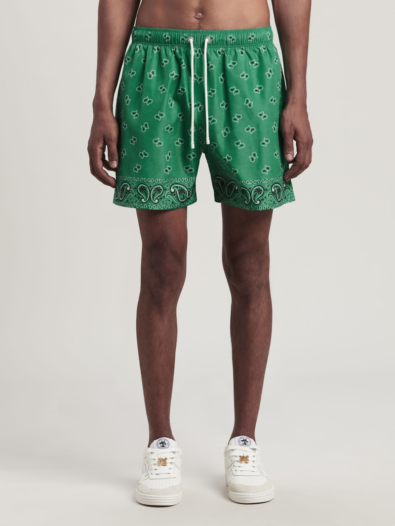 Paisley Swimshort 3