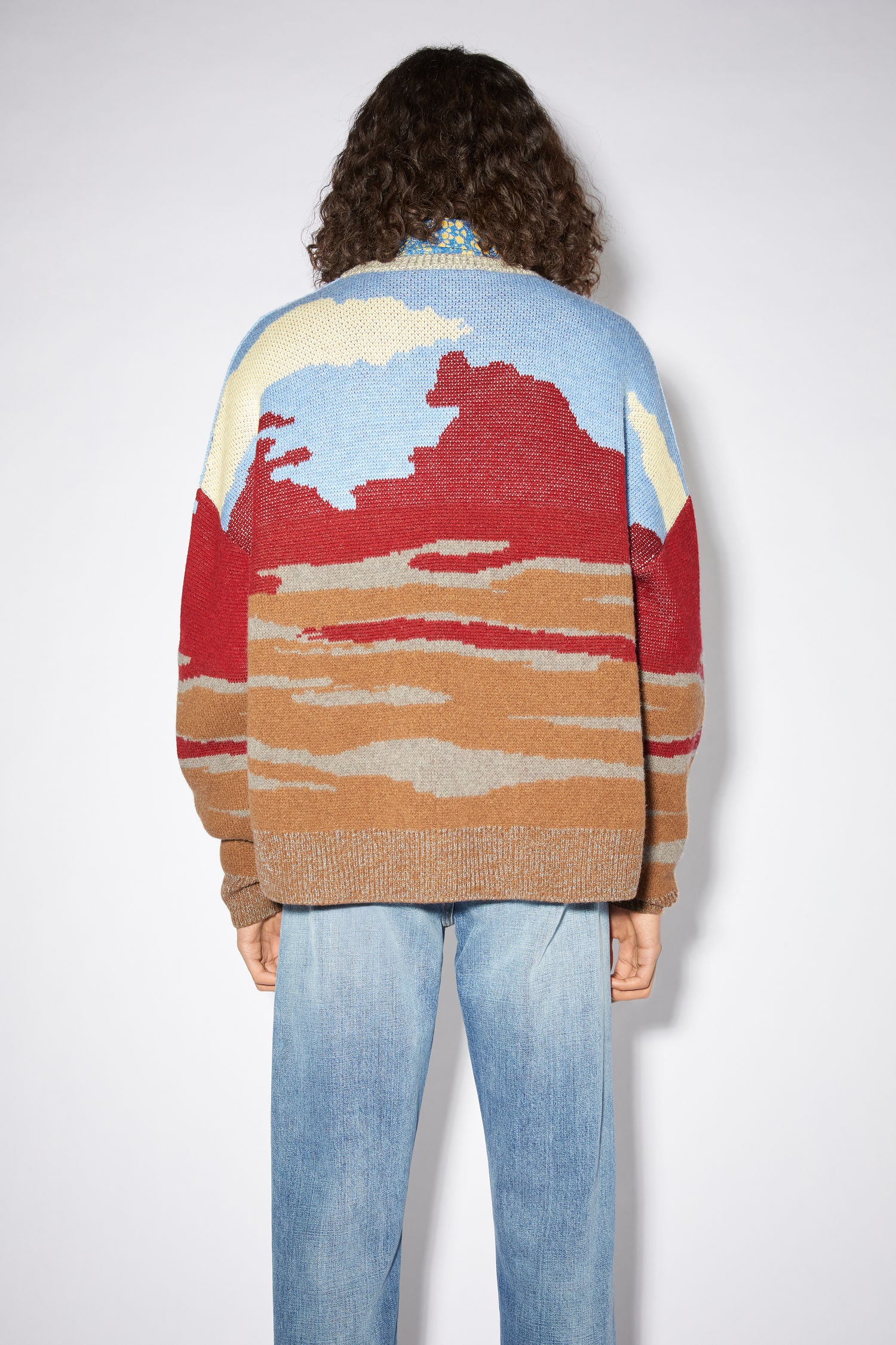 Crew neck sweater - Brown/multi - 3