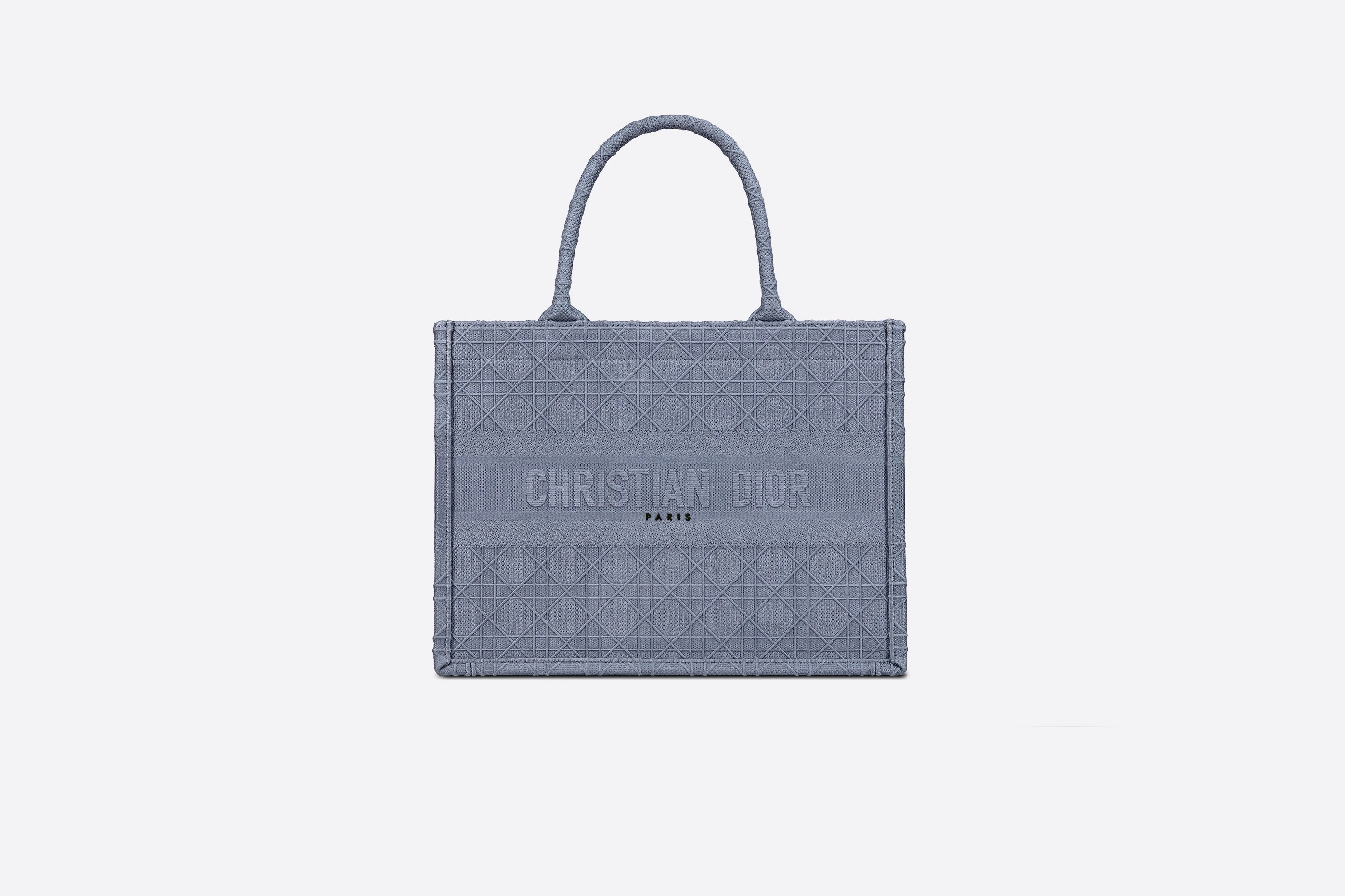 Small Dior Book Tote - 1