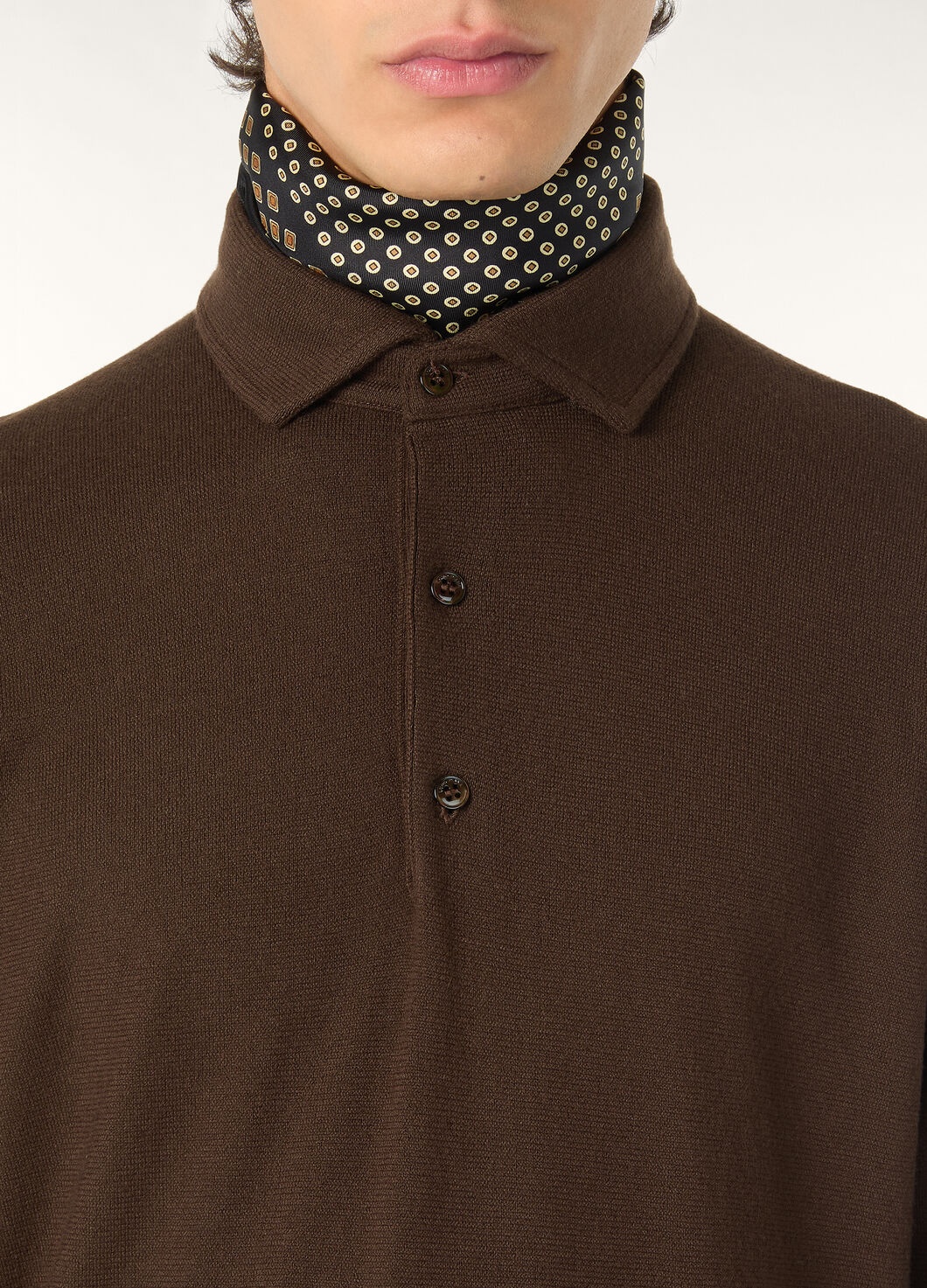 Polo - 3