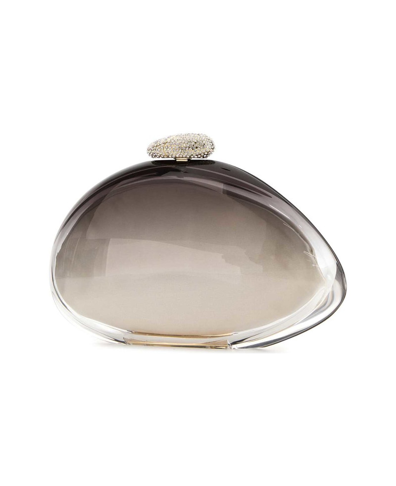 BENEDETTA BRUZZICHES Transparent Methacrylate Ariel Clutch outlook