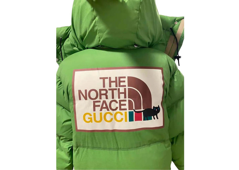 GUCCI Gucci x The North Face Down Parka Adder Green outlook