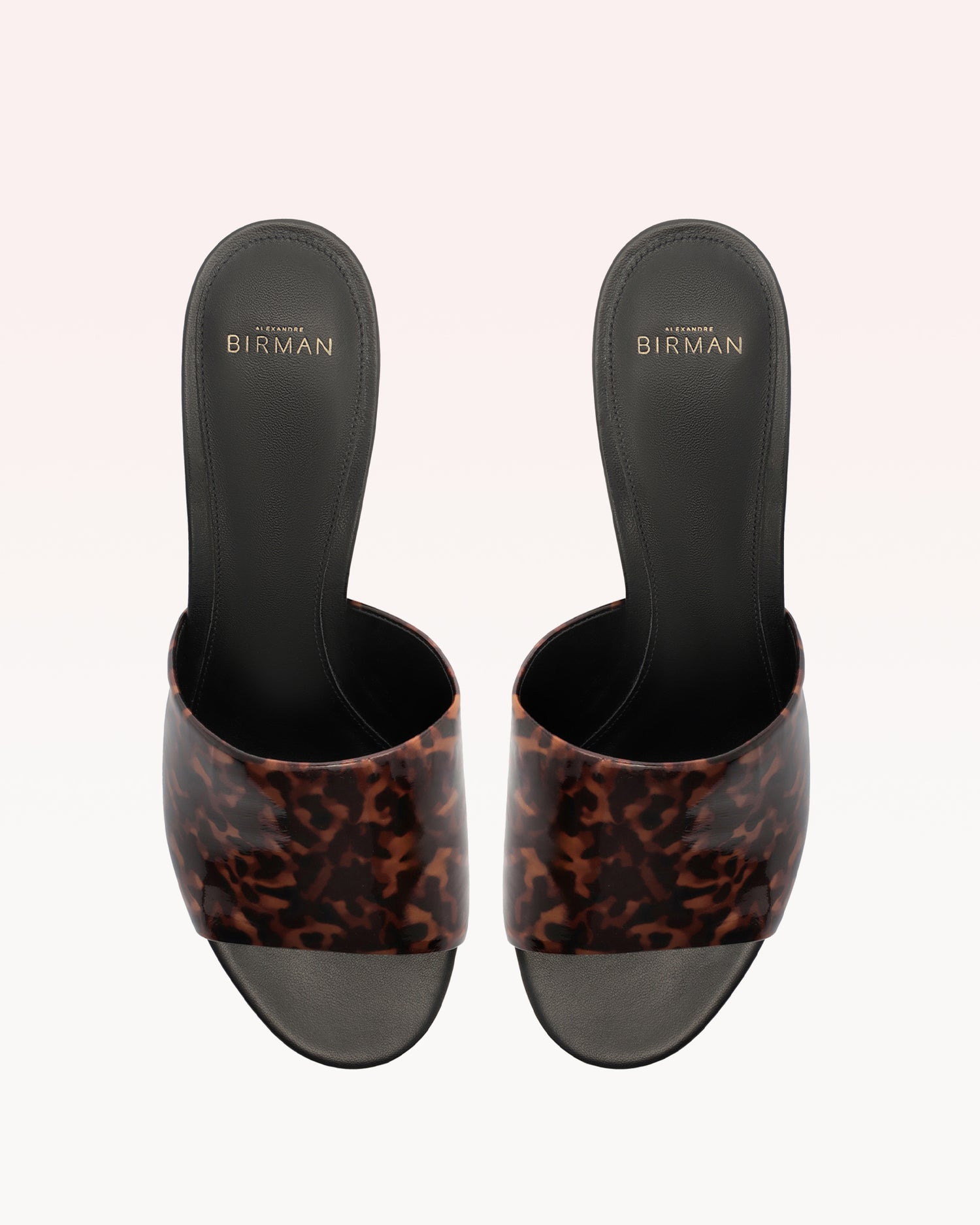 GISEL MULE NUT - 3