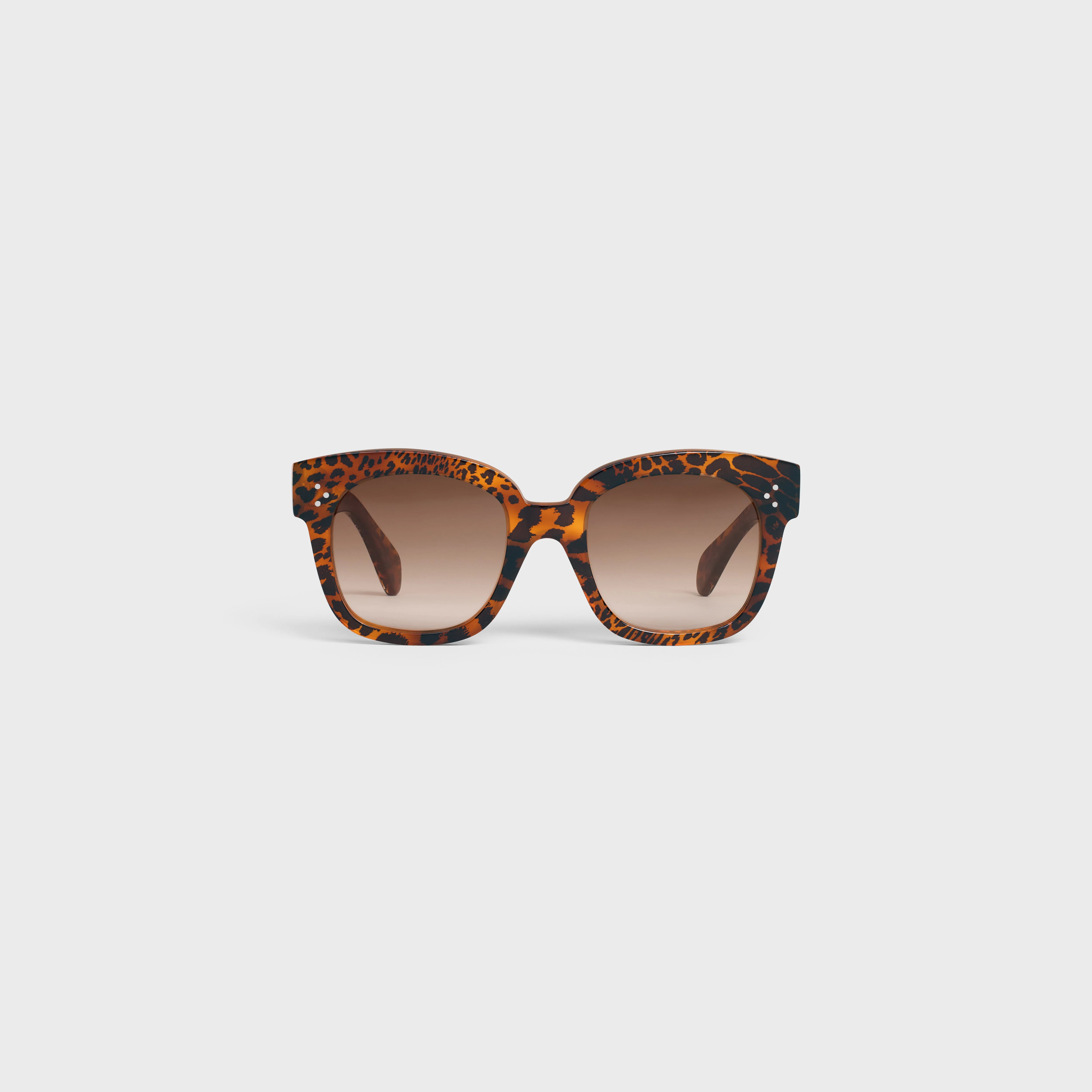 Oversized S002 Sunglasses in Acetate - 1