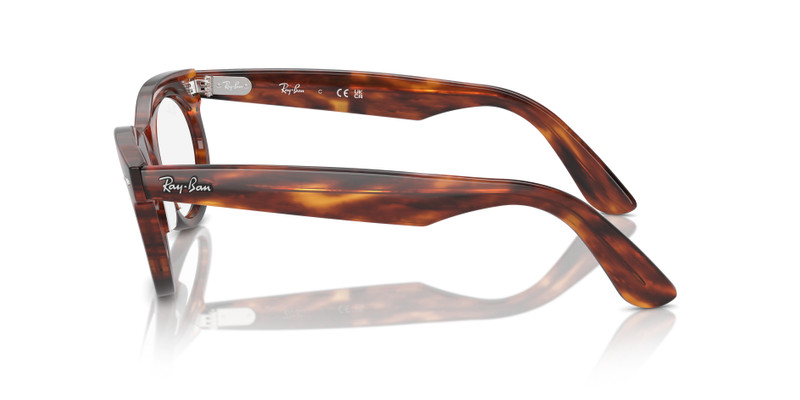 WAYFARER OVAL OPTICS 5