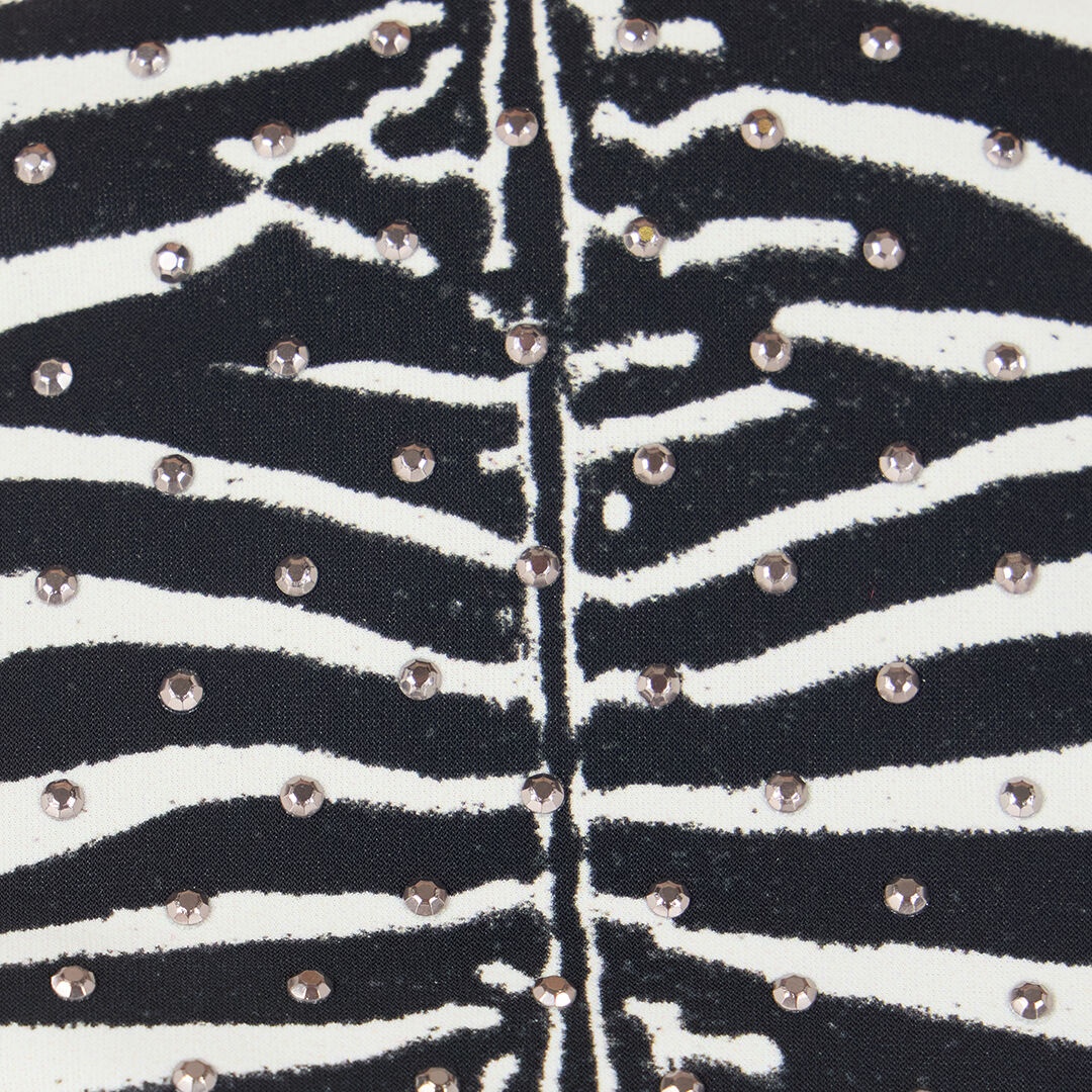 Zebra-Print Bikini - 5