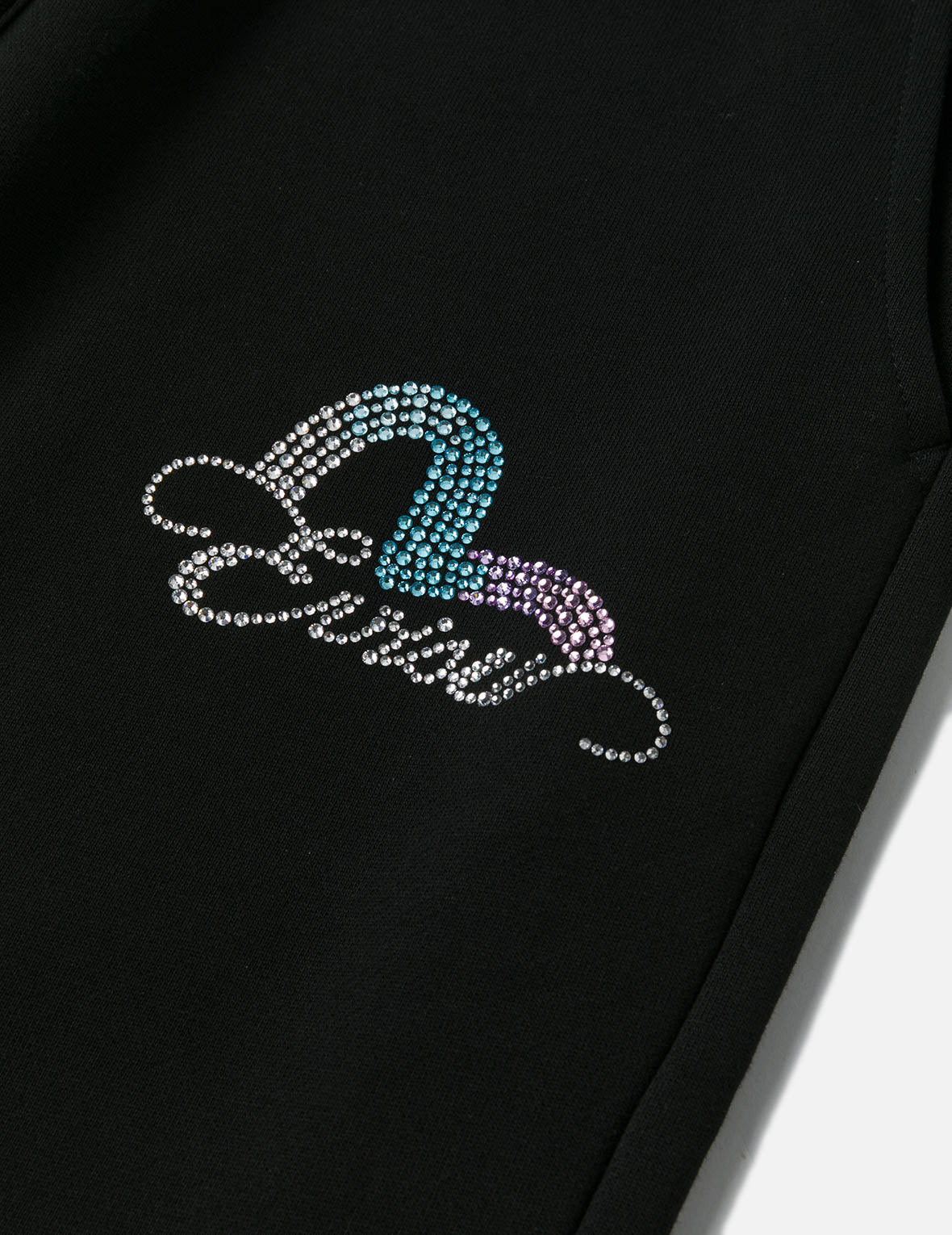 Seagull and Logo Rhinestone Regular Fit Sweatpants - 5
