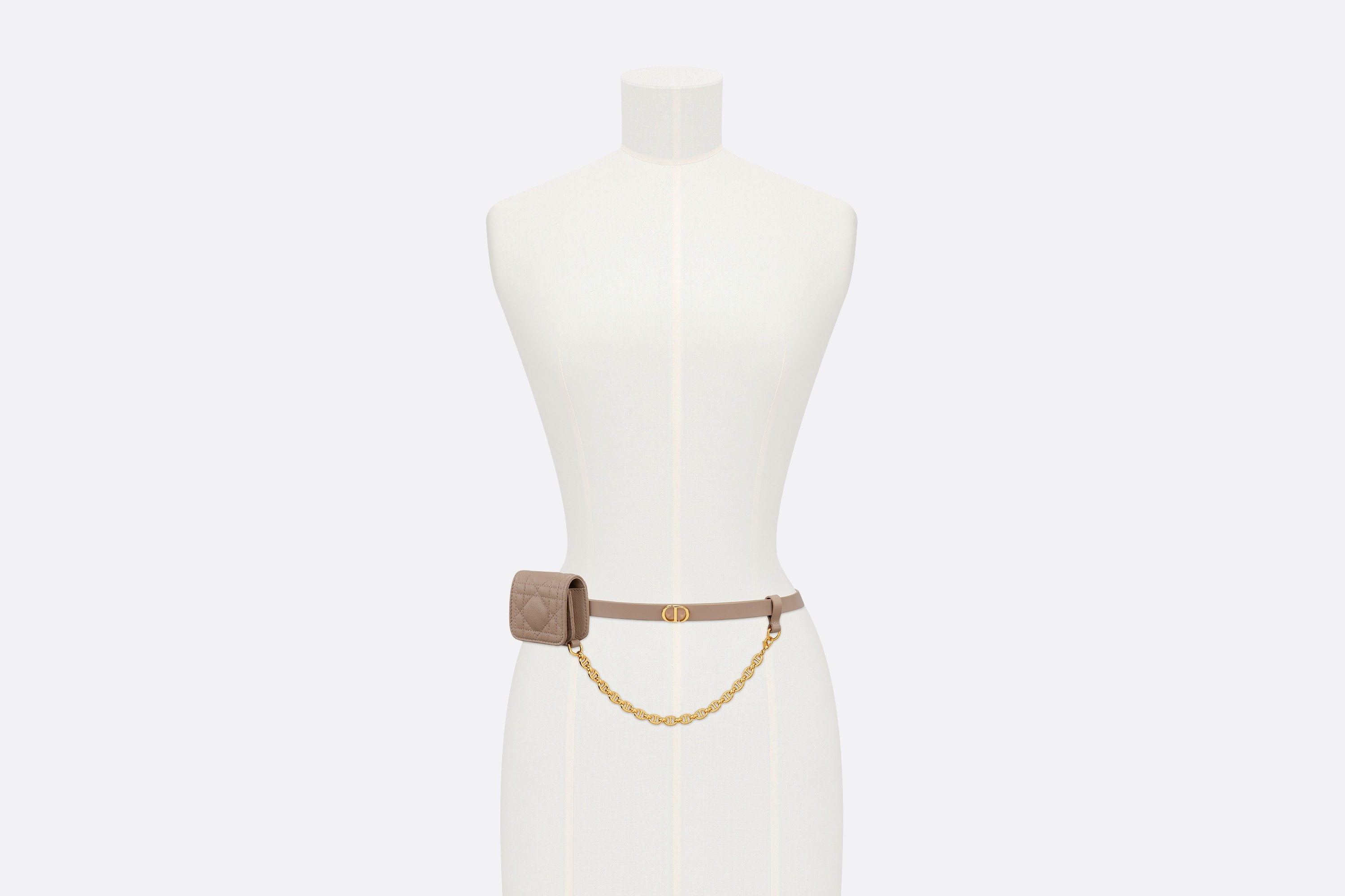Dior Caro Belt with Removable Pouch - 5