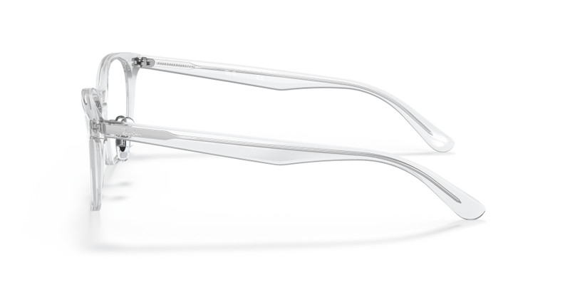RB5386 OPTICS 5