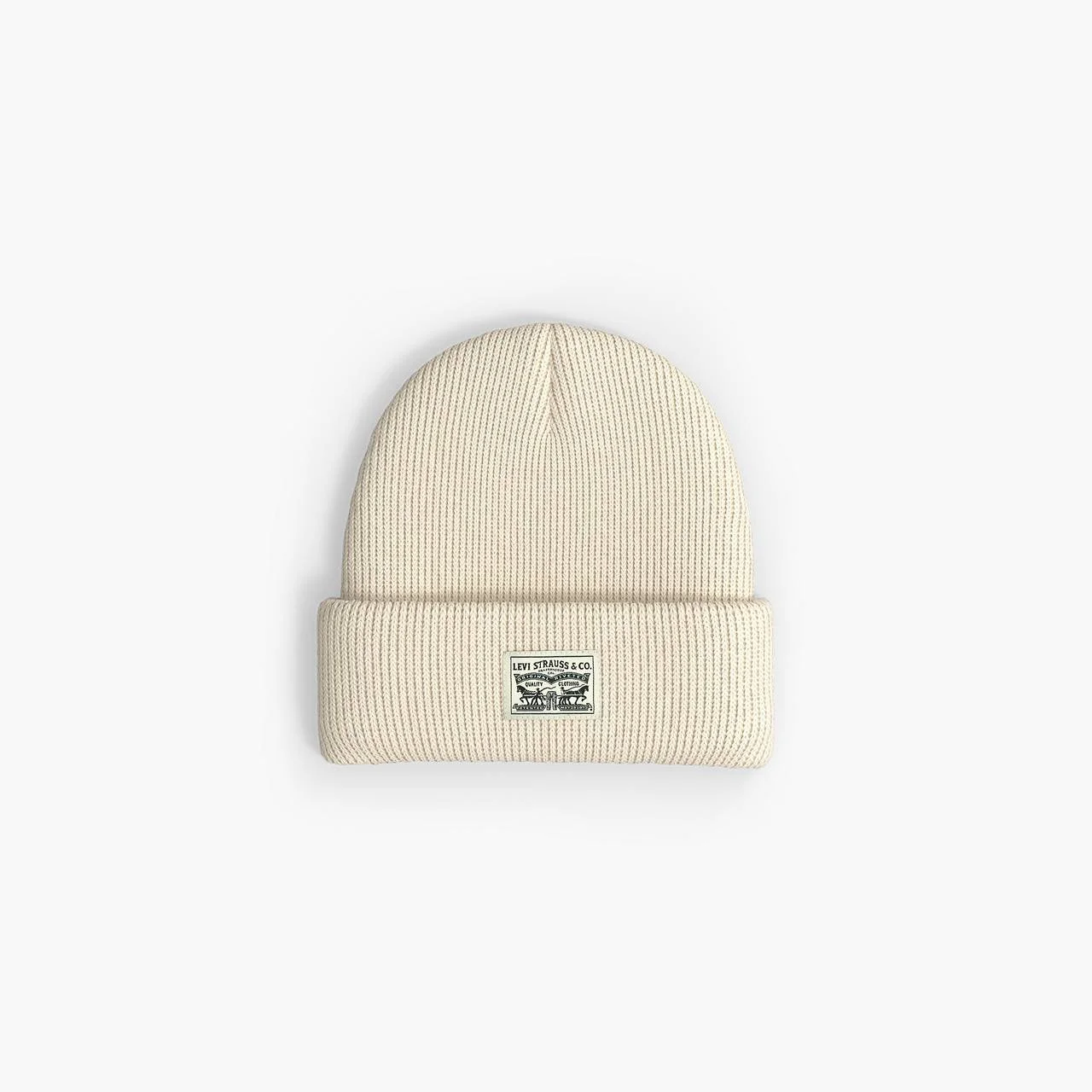 BACKPATCH BEANIE - 1