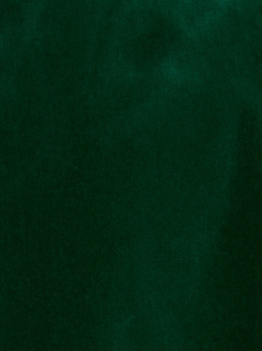 DOUBLE-BREASTED VELVET JACKET - 6