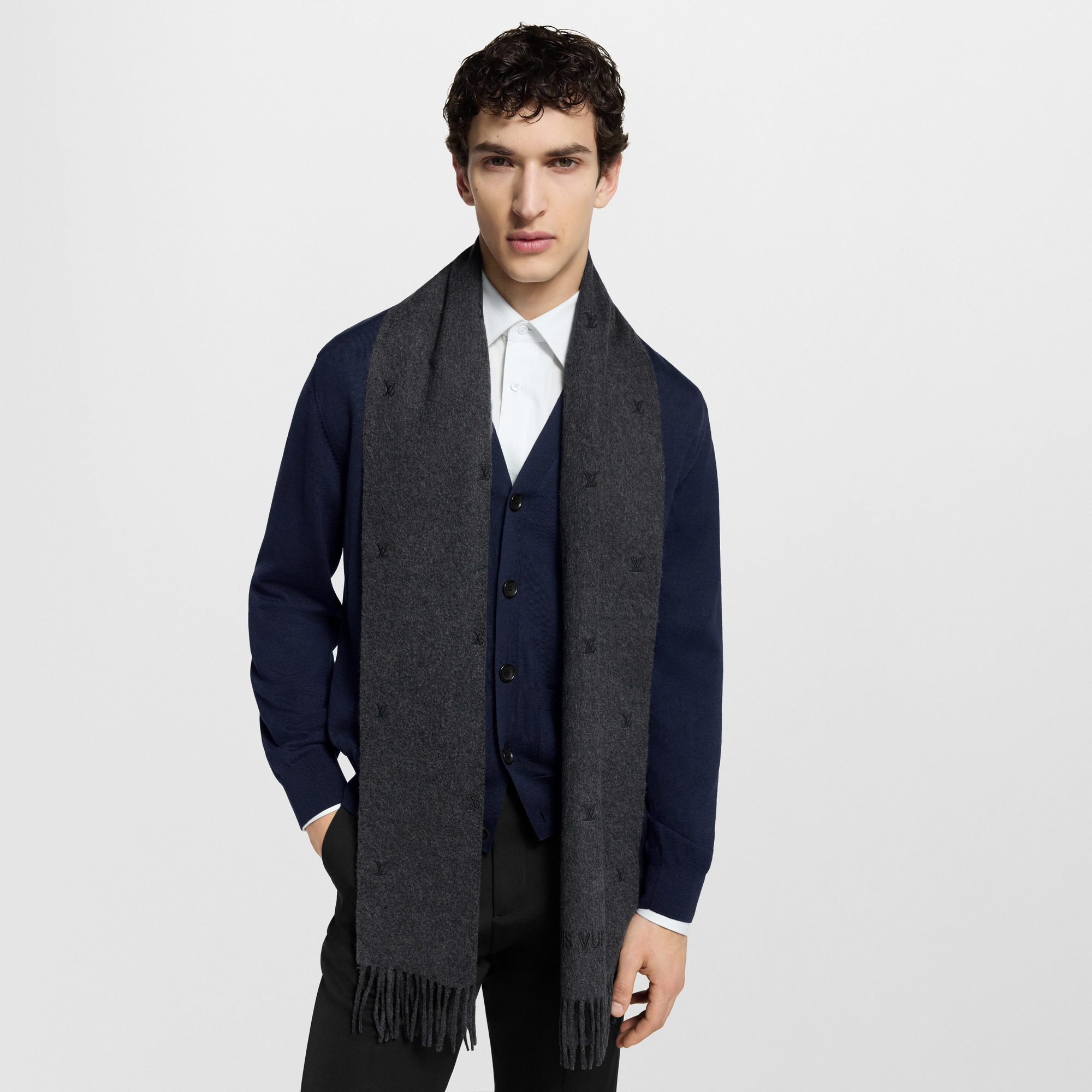 LV Blason Embroidered Scarf - 4