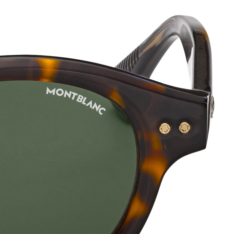 Round Sunglasses with Havana-Colored Acetate Frame 3