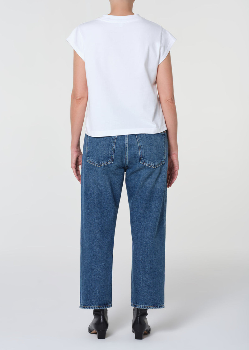 AGOLDE 90'S CROP MID RISE STRAIGHT PETITE IN BOUNTY outlook