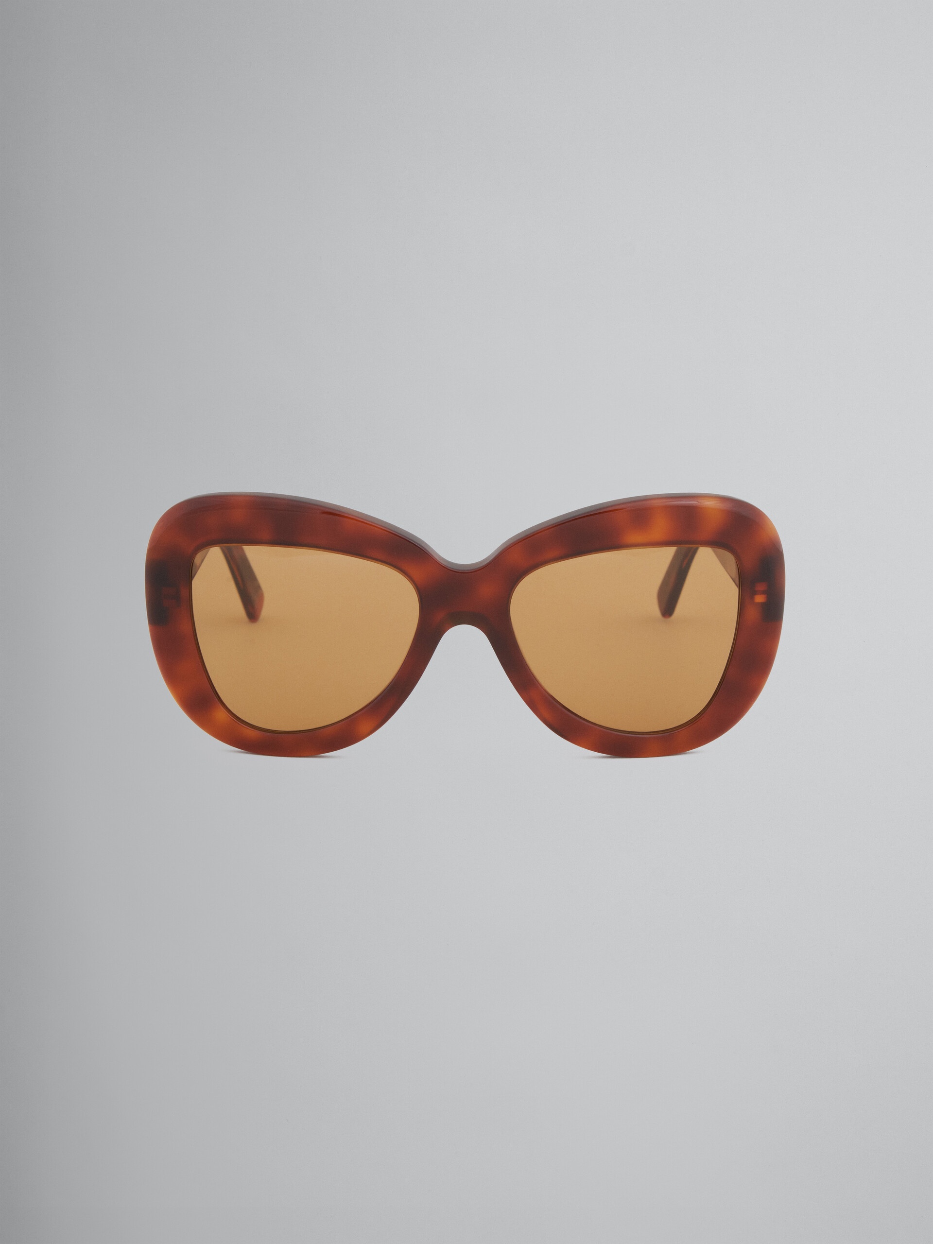 TORTOISESHELL ACETATE ELEPHANT ISLAND SUNGLASSES - 1