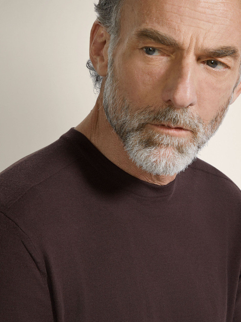 ZEGNA DARK BROWN VELLUS AUREUM CREWNECK outlook