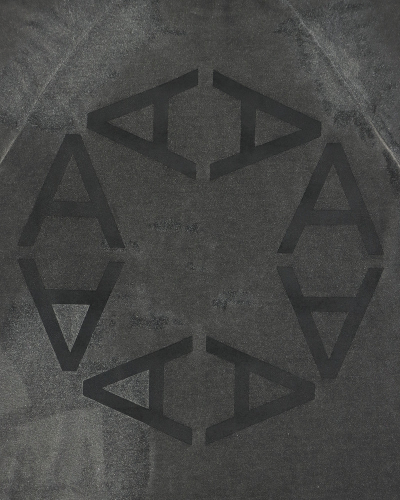 OVERSIZED TRANSLUCENT GRAPHIC LOGO T-SHIRT 7