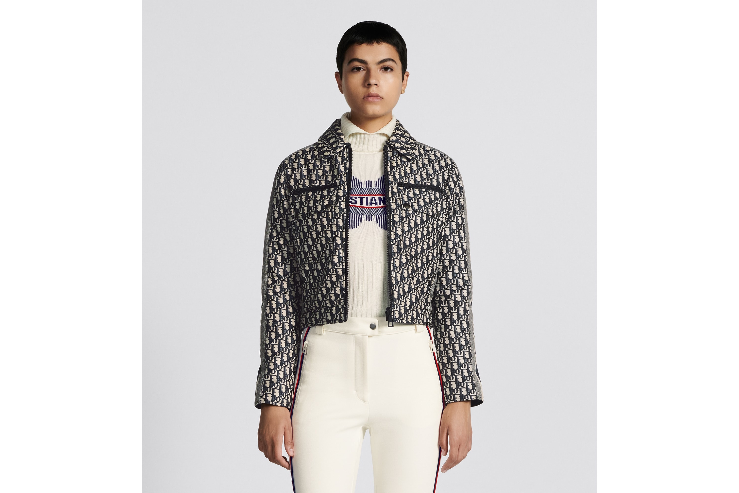 DiorAlps Reversible Cropped Blouson - 2