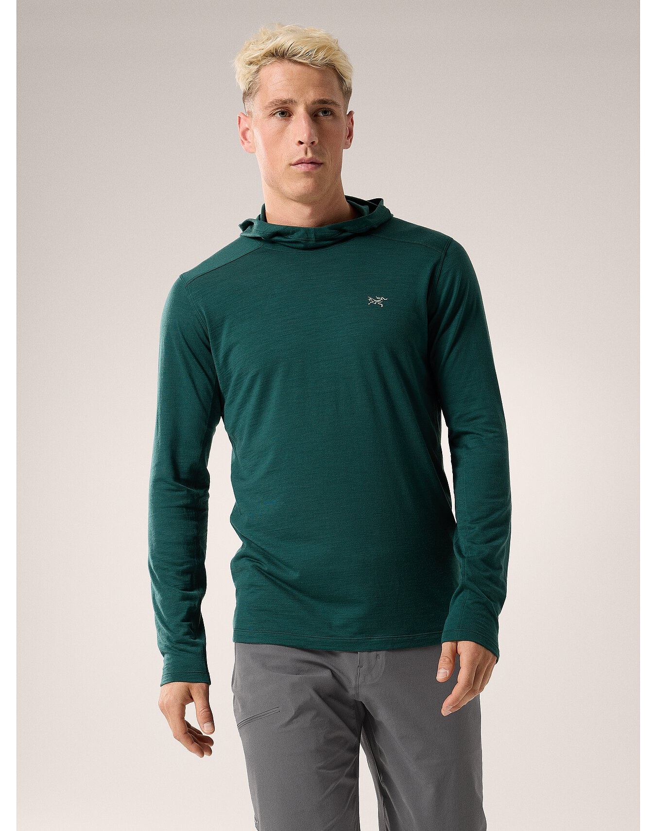 Ionia Merino Wool Hoody - 2