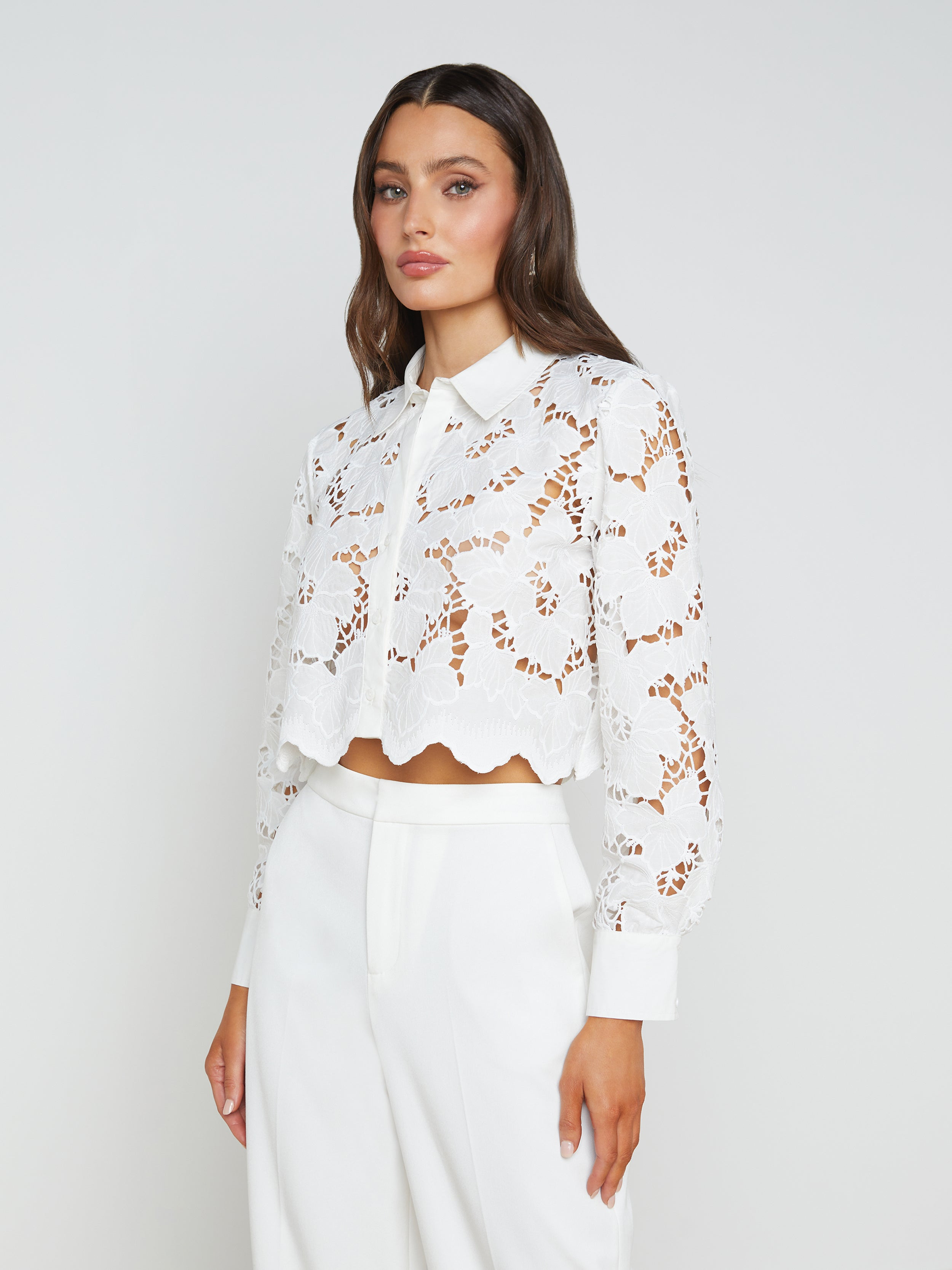 Seychelle Lace Cropped Blouse - 3