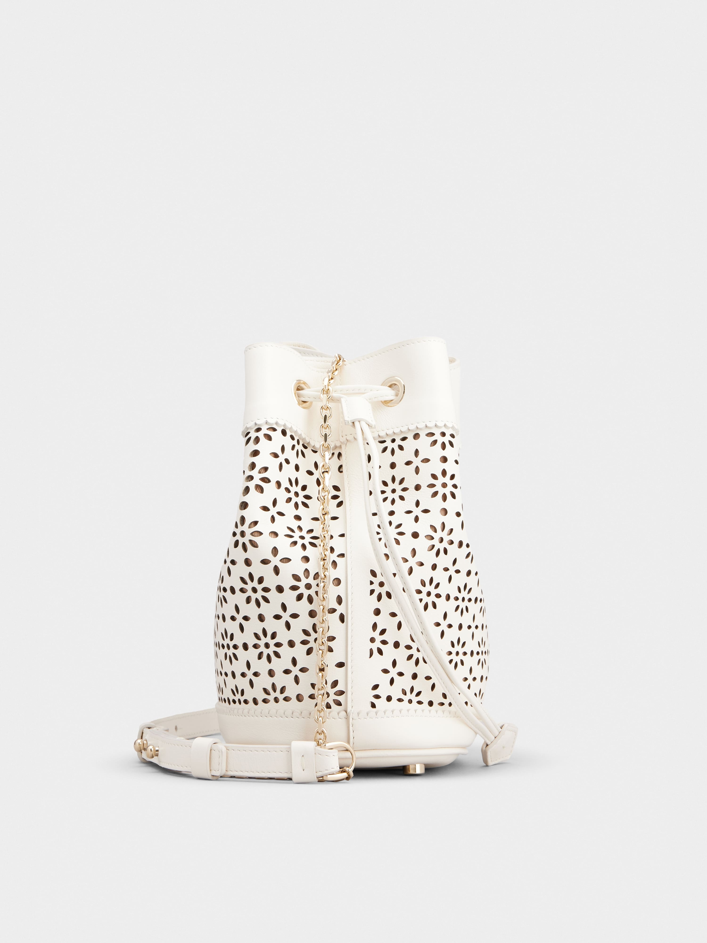 Très Vivier Bucket Bag in leather - 2