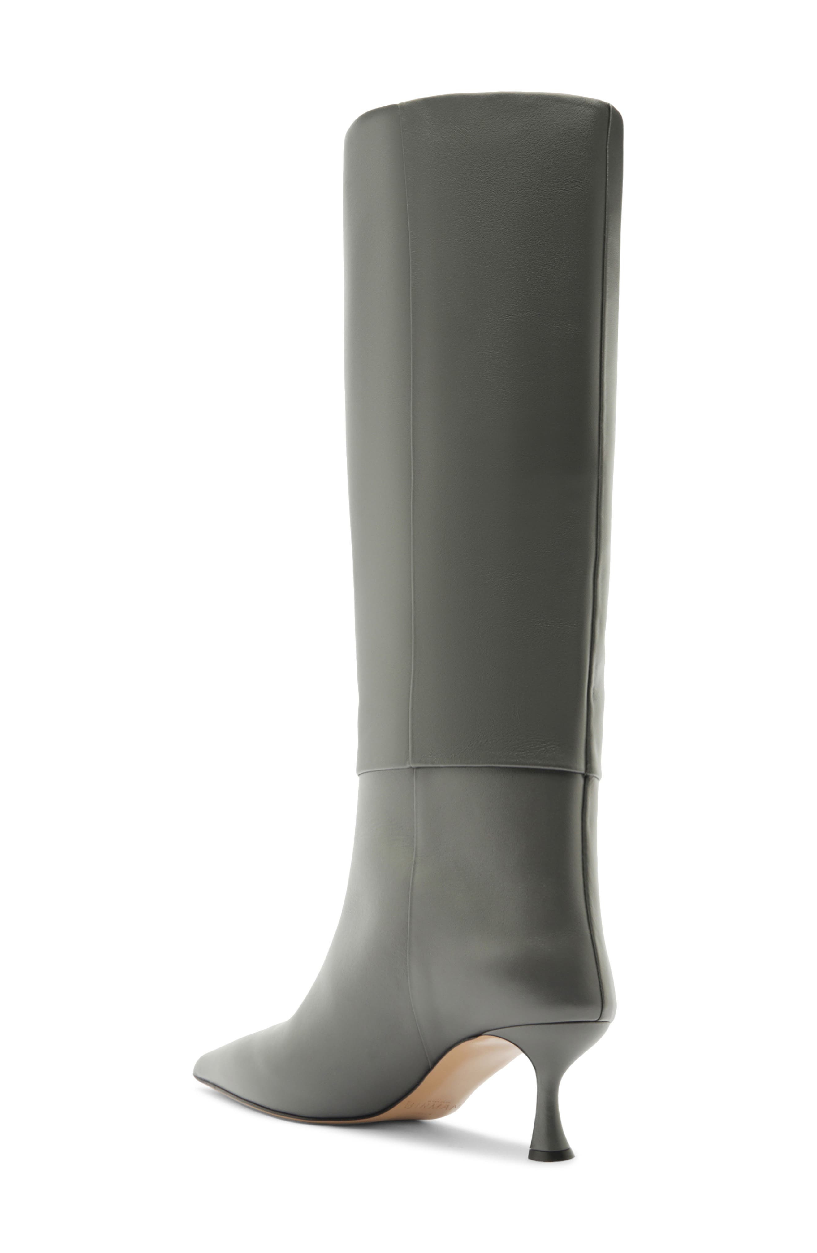 Alexandre Birman Brena Pointed Toe Knee High Boot in Cement at Nordstrom - 2