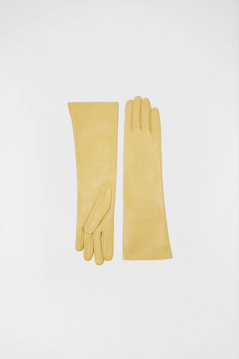 Medium Gloves 1