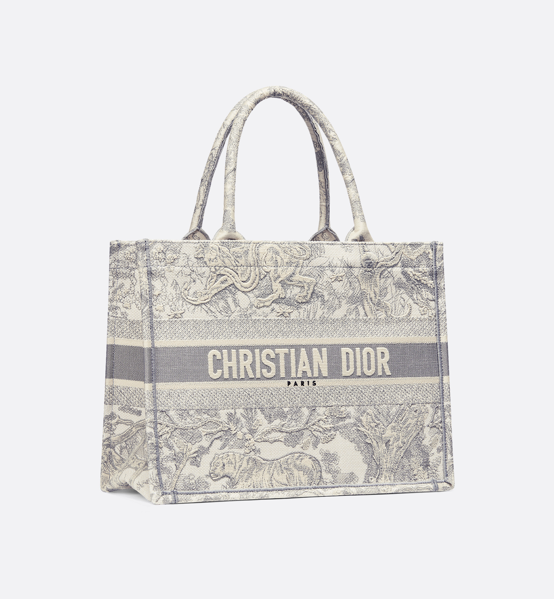 Medium Dior Book Tote - 4