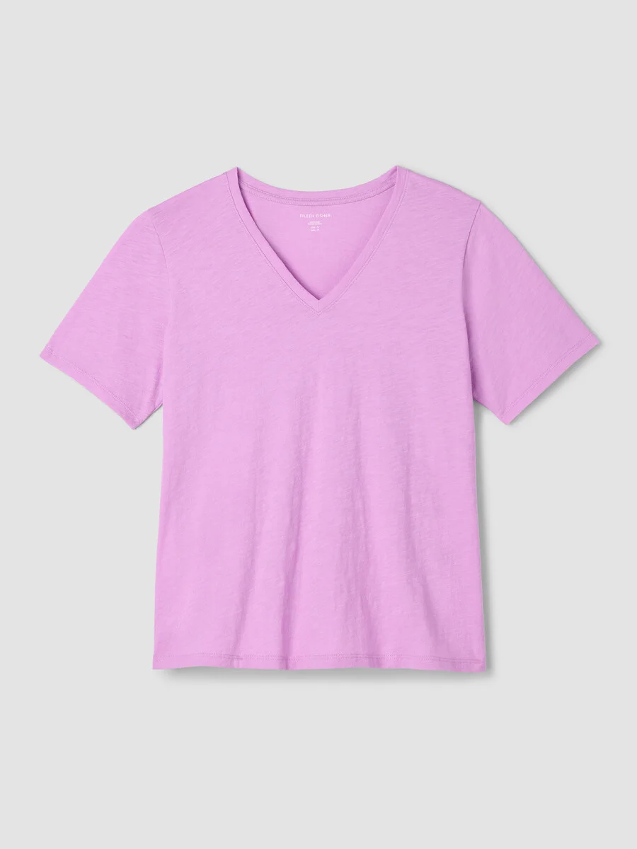 Organic Cotton Slubby Jersey V-Neck Tee - 1