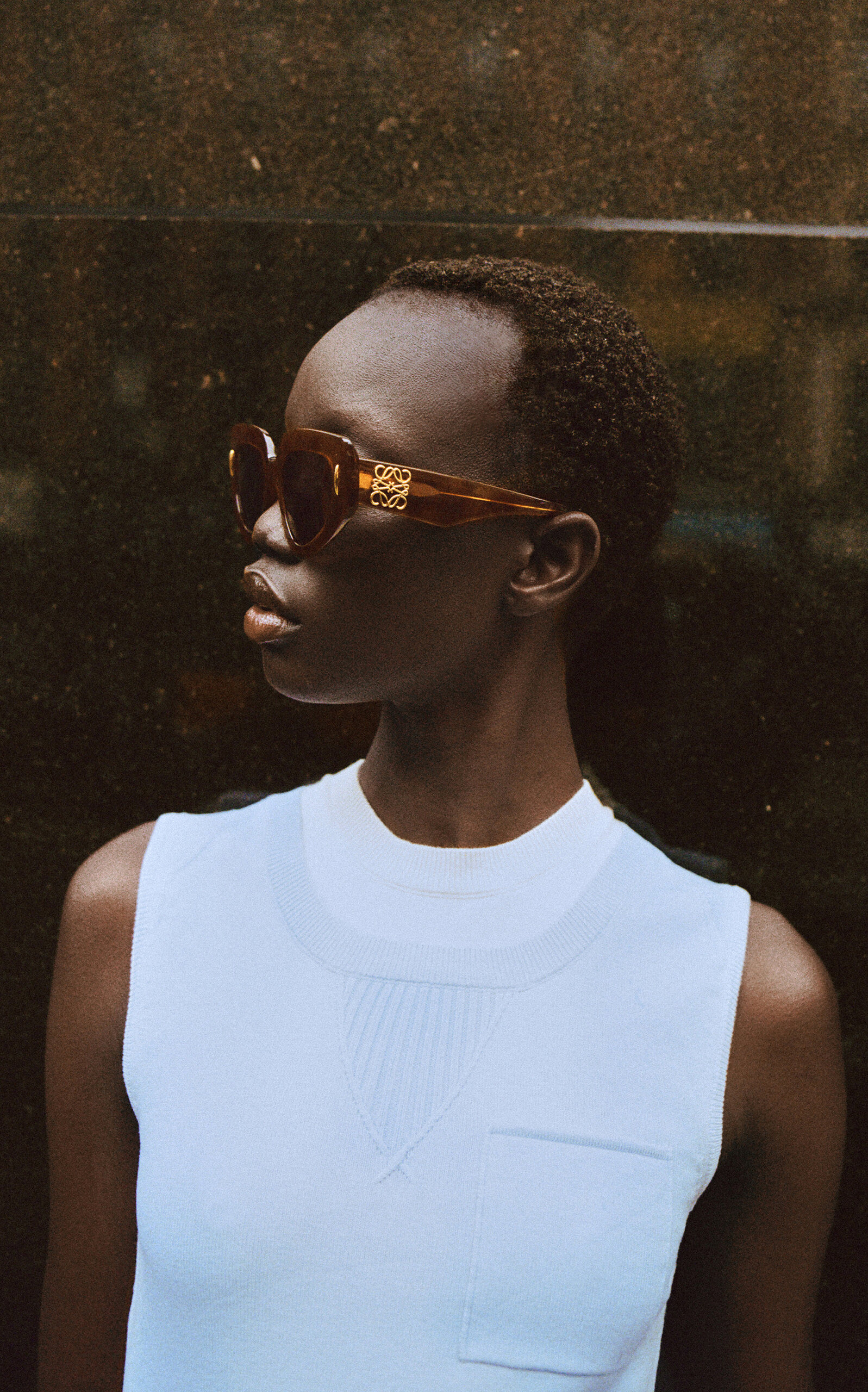 Anagram D-Frame Acetate Sunglasses brown - 2