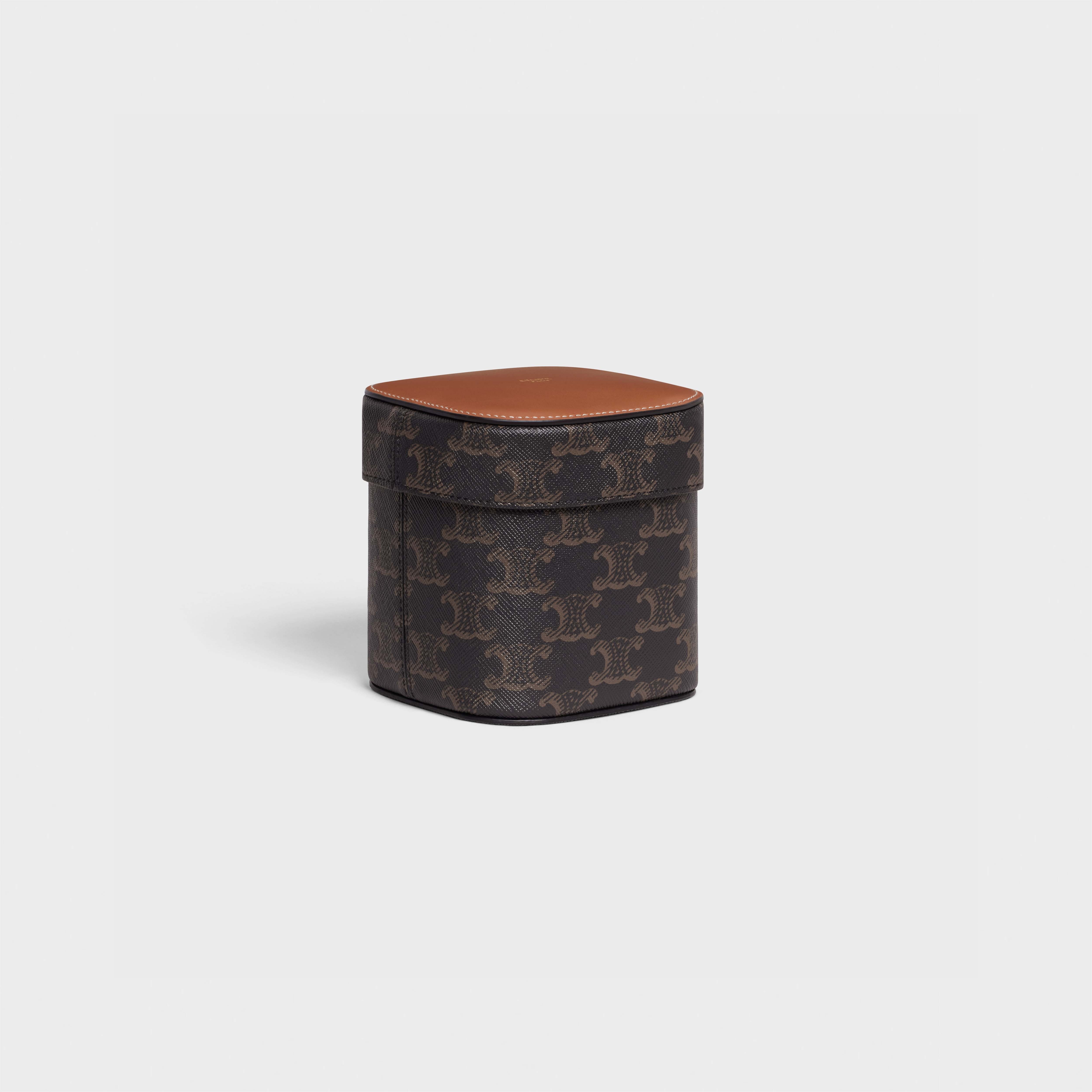 Small Box in Triomphe Canvas and Calfskin - 3