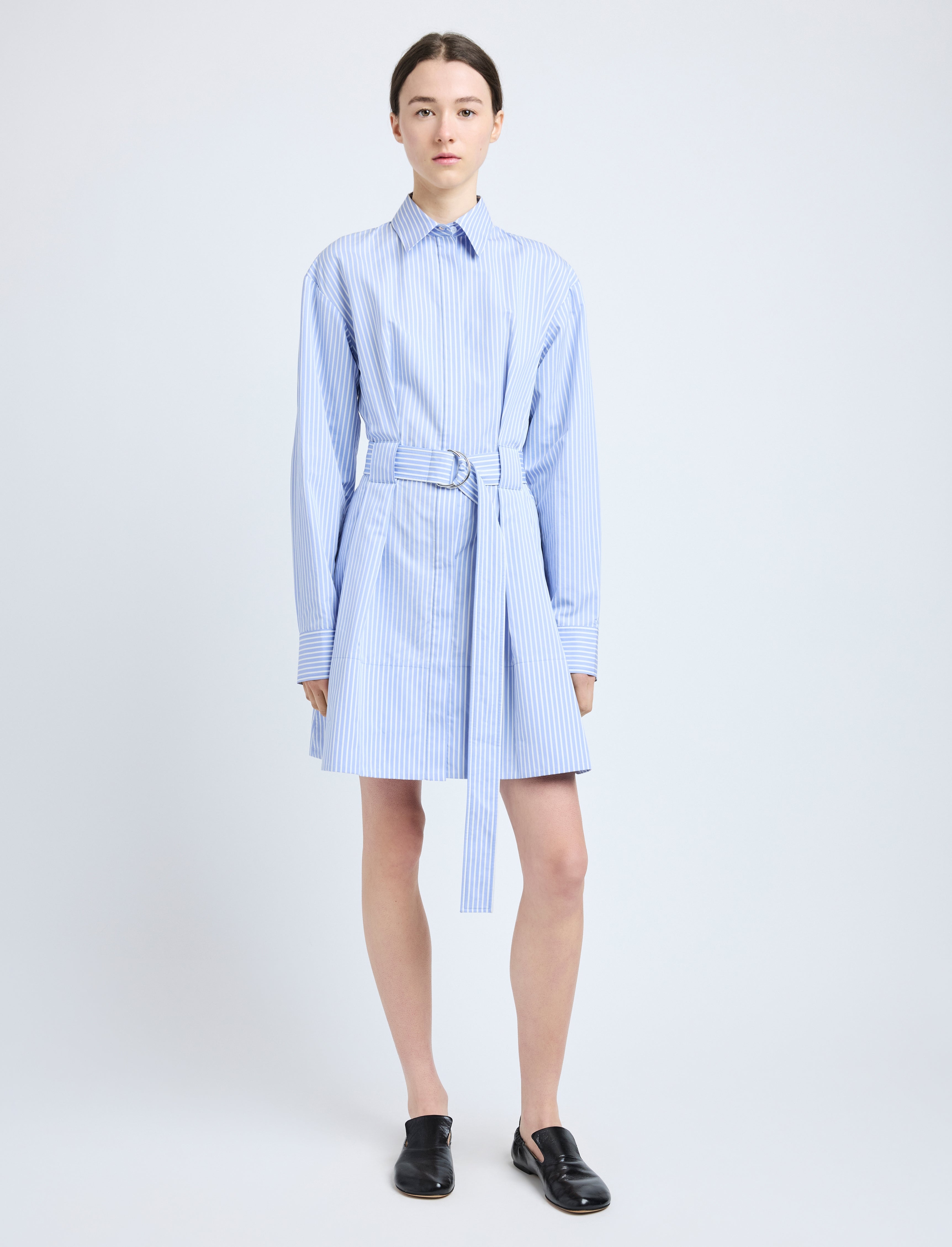 Viola Dress in Stripe Cotton Silk Poplin - 2