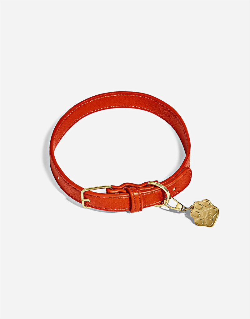 Dolce&Gabbana Fefé 4