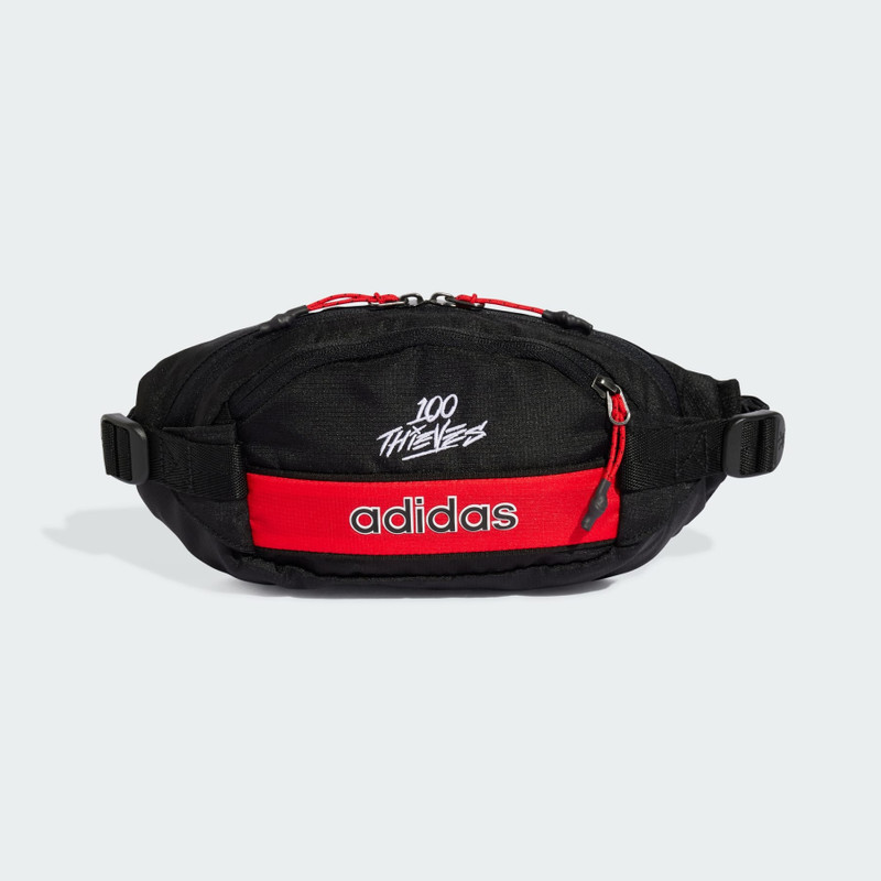 100 Thieves 부대 - 1