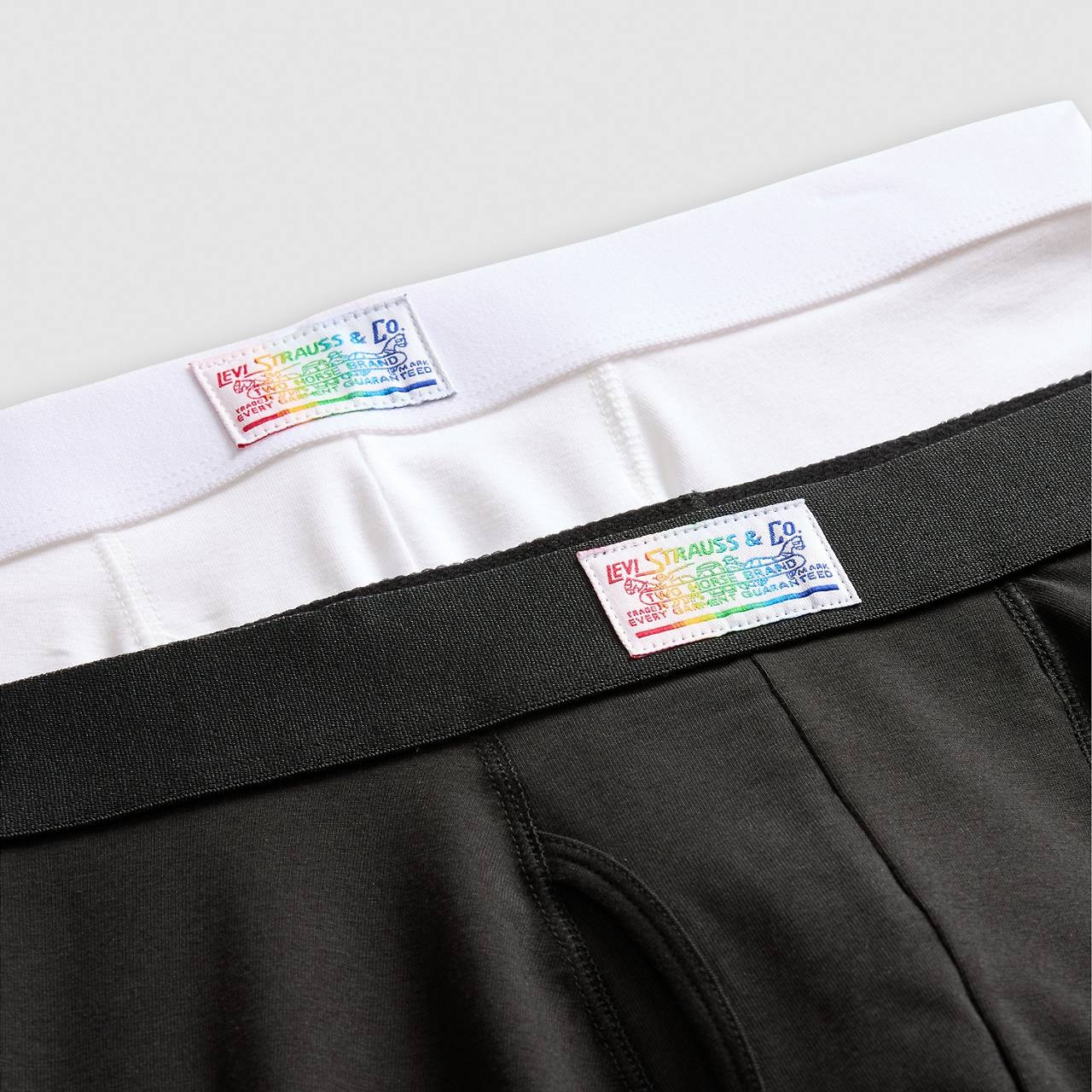 LEVI’S® PRIDE LOGO BOXER BRIEFS (2-PACK) - 2