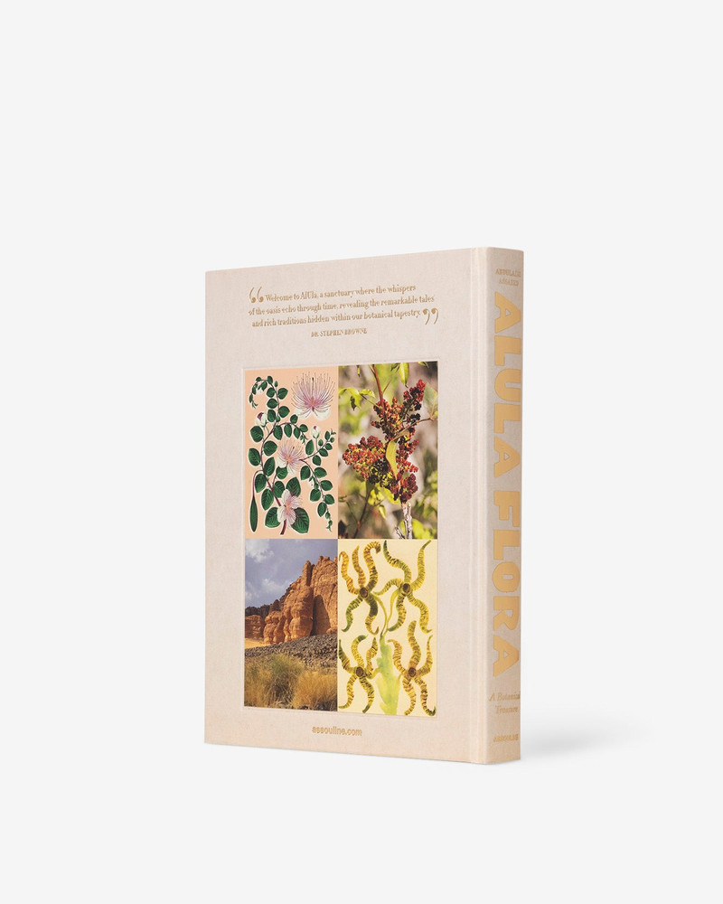 ASSOULINE AlUla Flora outlook