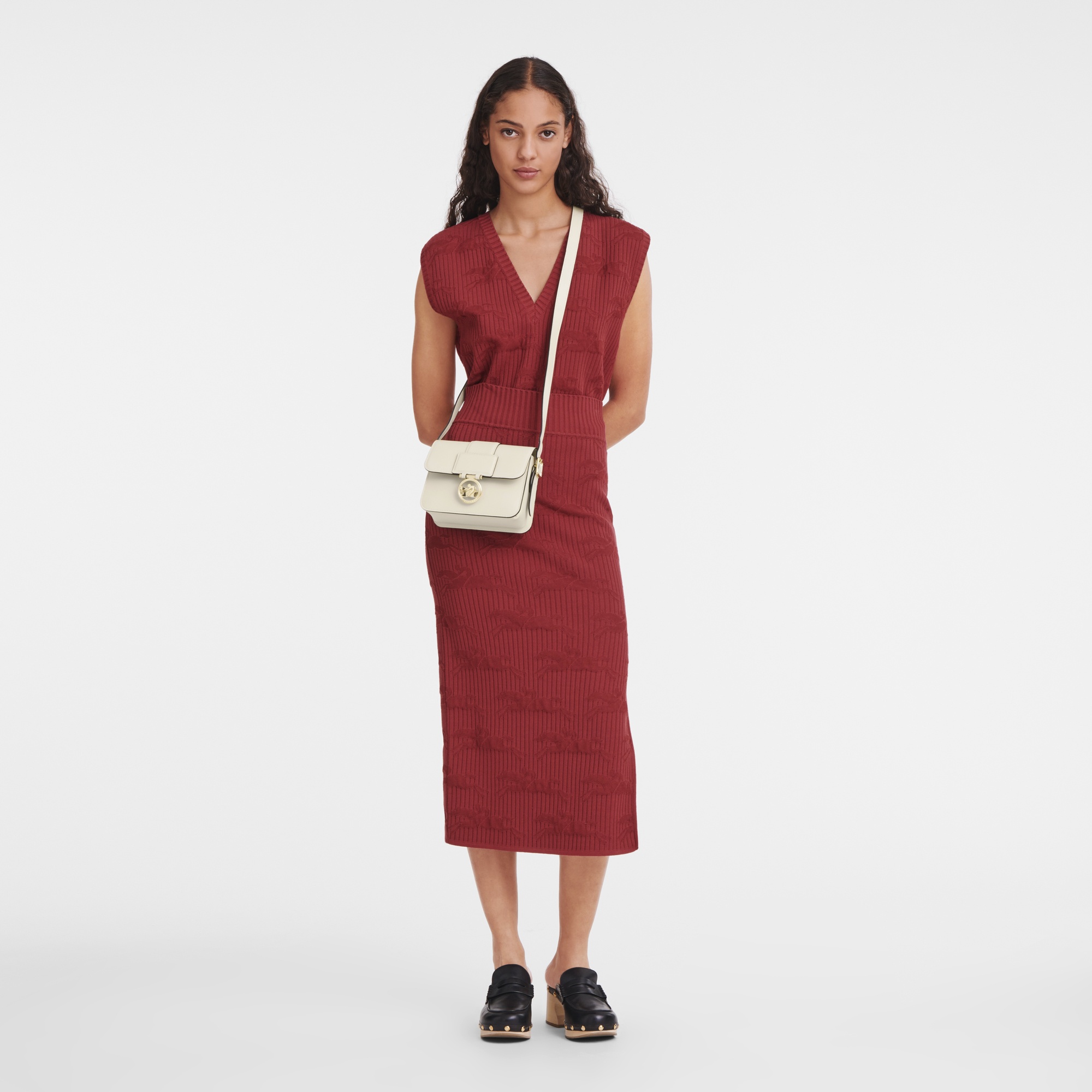 Box-Trot S Crossbody bag Paper - Leather - 2