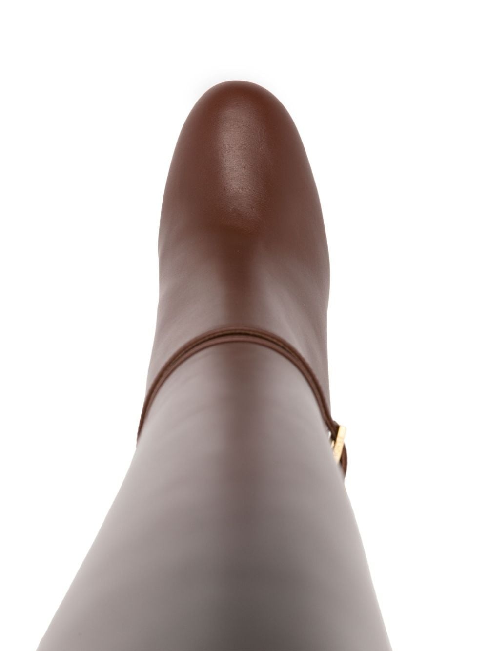 Delfina 105mm high-heeled boots - 4