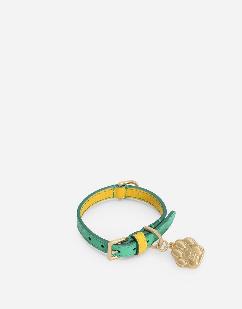 Dog collar 1