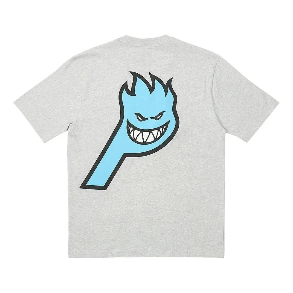 Palace x Spitfire P-Head T-Shirt 'Grey' P24STS002 - 1