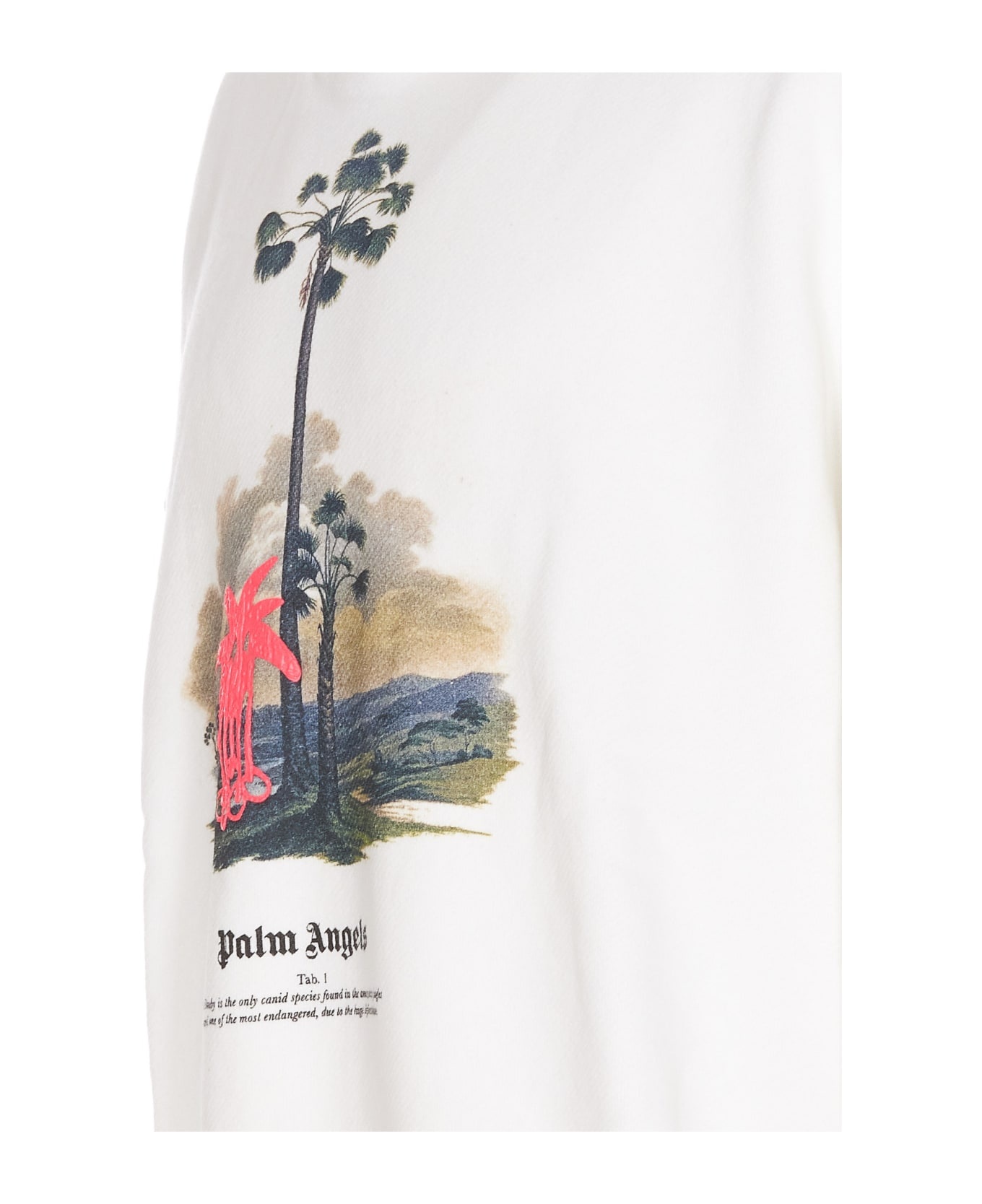 Douby Lost In Amazonia Hoodie - 3