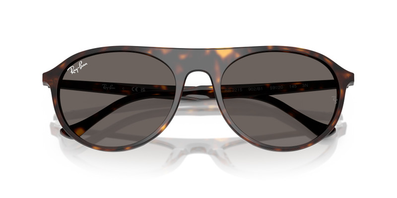 Ray-Ban RB2215 outlook