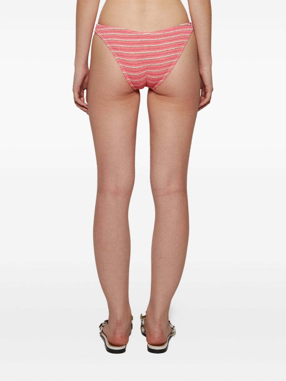 Sign stripe-ribbed bikini bottom - 5