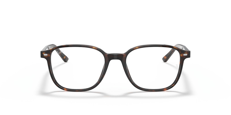 LEONARD OPTICS 4