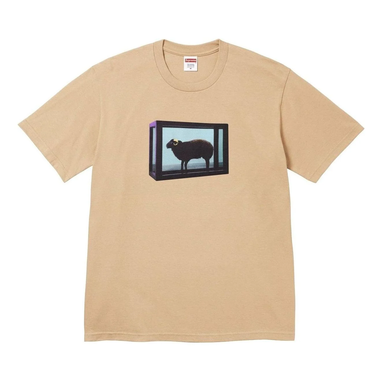 Supreme x Damien Hirst T-Shirt 'Khaki' SS25T5-KHAKI - 1
